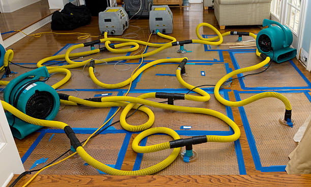 Professional Basement Flood Cleanup technician working in Green Valley, MD